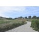 Properties for Sale_FARMHOUSE TO BE RENOVATED WITH LAND FOR SALE IN LAPEDONA, SURROUNDED BY SWEET HILLS IN THE MARCHE province in the province of Fermo in the Marche region in Italy in Le Marche_29